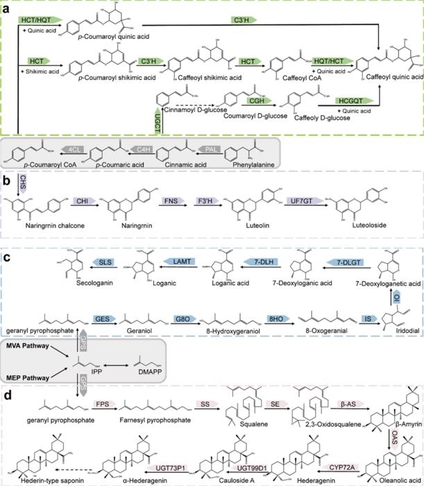 Fig.1