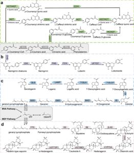 Fig.1