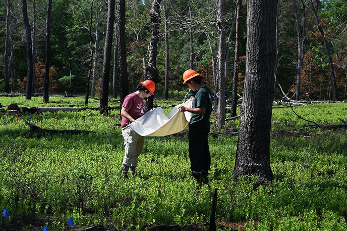 Collecting samples