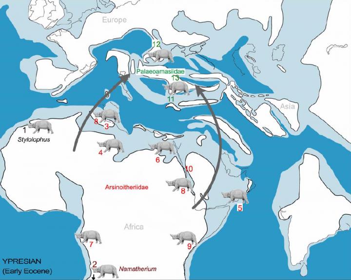 Paleogeographic Distribution of the Embrithopoda