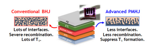 Figure 1: Picture of an organic photovoltaic cell