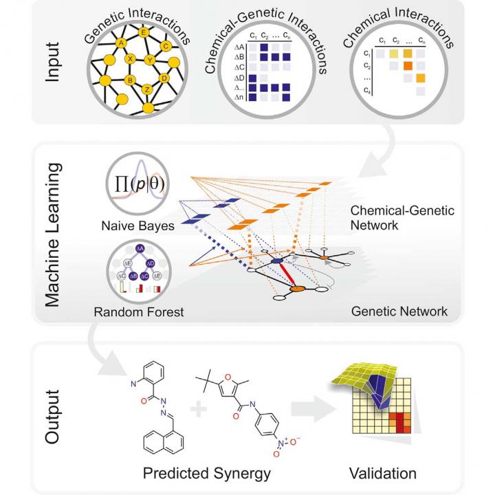 Machine Learning To Identify Synergistic Compounds