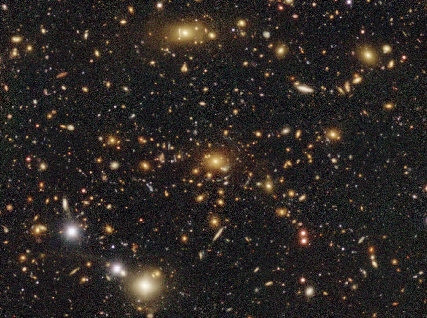 すばる望遠鏡 HSC が撮影した、ダークマターの塊の位置における銀河分布