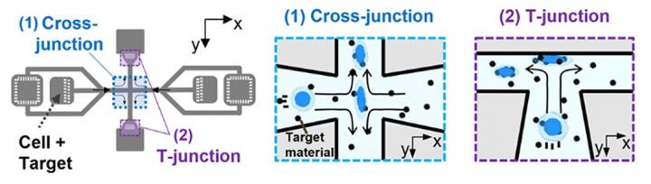 Diagram of the Spiral Hydroporator