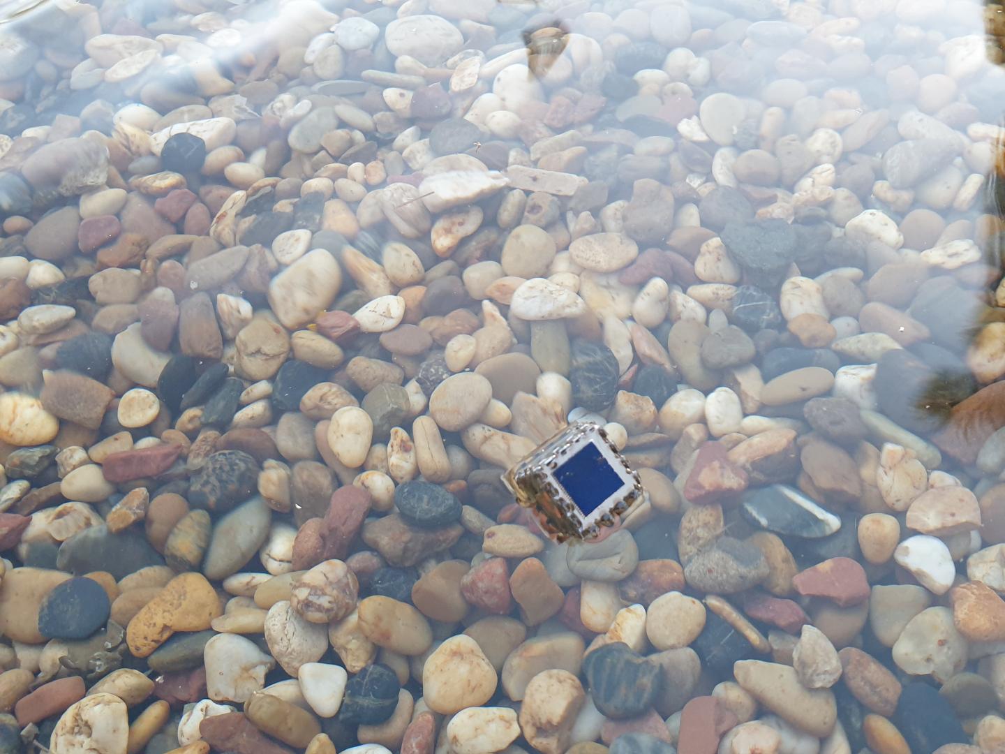 Sensor Cube Helps Keep Fish Farming Afloat (3 of 3)