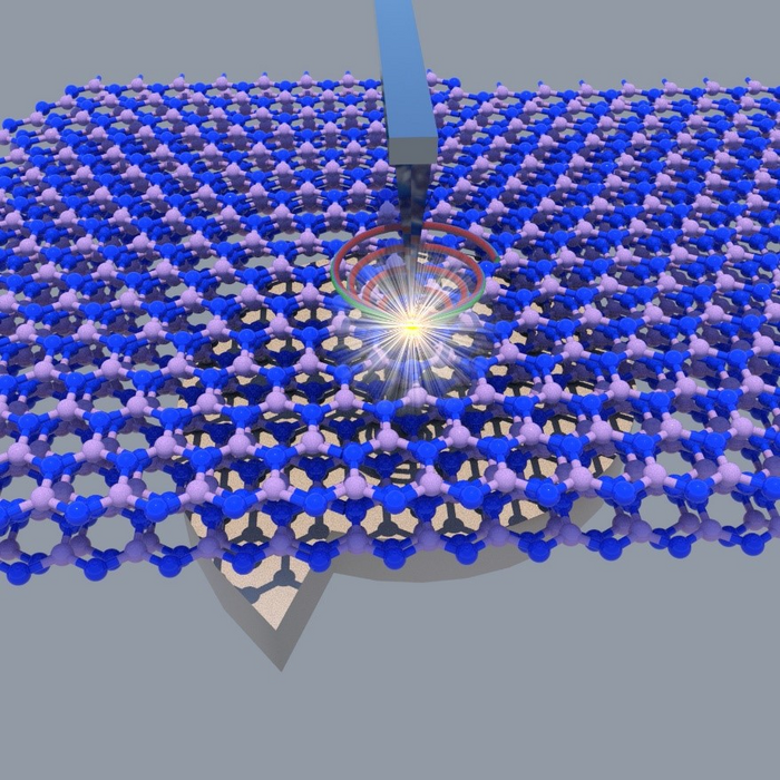 Controlling topological charges in hyperbolic polariton vortices