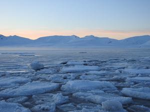 Sea ice in the Arctic