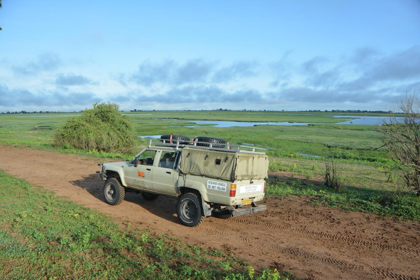 Conducting Surveys in Chobe National Park
