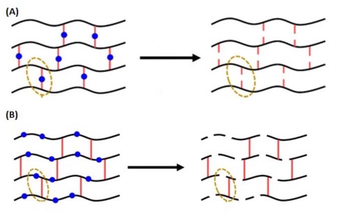 Polymer breakdown diagram