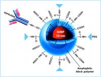 Iron Oxide Nanoparticle