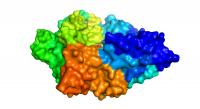 A 3D Structural Model of the MHETase Enzyme with Benzoic Acid in the Active Site