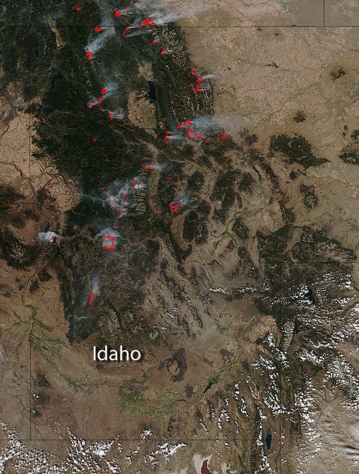 Idaho Battling Huge Wildfires EurekAlert!