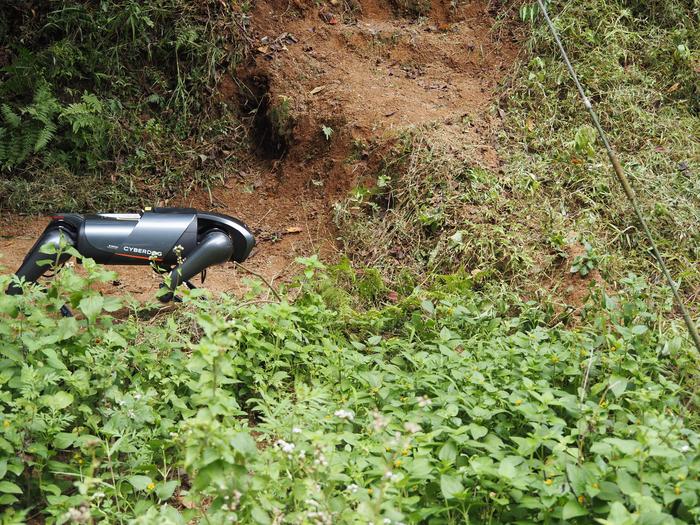 CyberDog RIFA nest detection system at work