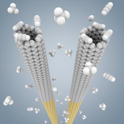 'Cloning' Could Make Structurally Pure Nanotubes for Nanoelectronics