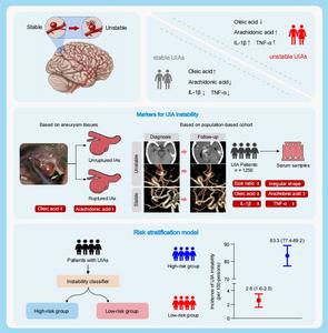 The markers and risk stratification model of intracranial aneurysm instability in a large Chinese cohort