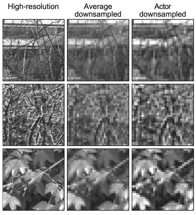 Comparison between the original image (left); the image processed using non-learning computation (middle); and the image processed using the actor-model framework