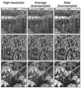 Comparison between the original image (left); the image processed using non-learning computation (middle); and the image processed using the actor-model framework