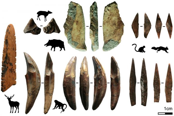 Bone Tools and the Animals from Which They Were Produced from Fa-Hien Lena