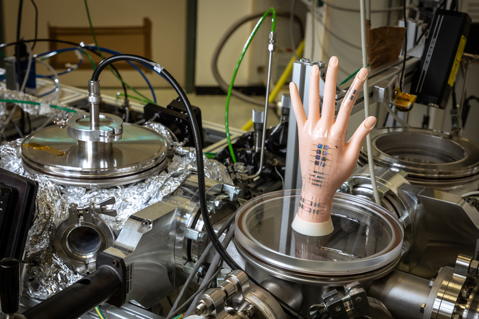 As part of their ERC project "SmartCore", Coclite and her team developed the three-in-one hybrid material "Smartskin", which closely resembles human skin.