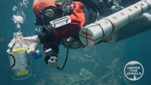 Cave diver collects samples