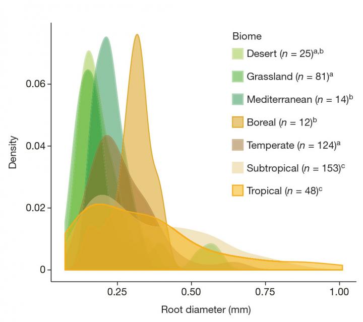 Trait Distributions