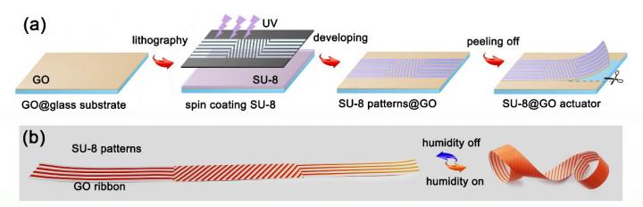 Schematic Illustration