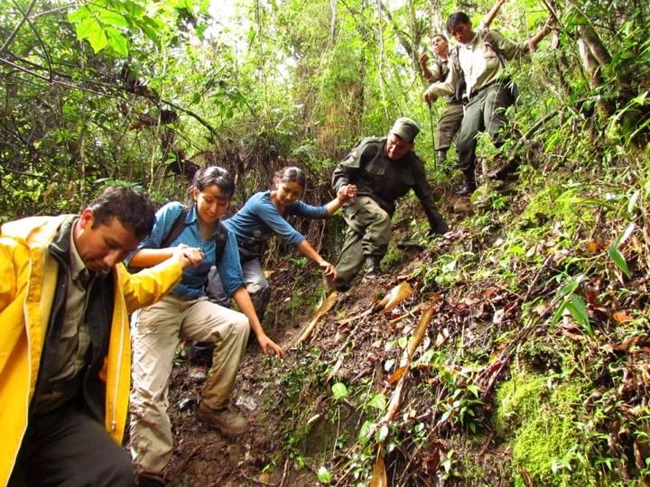 Biodiversity Research in Practice