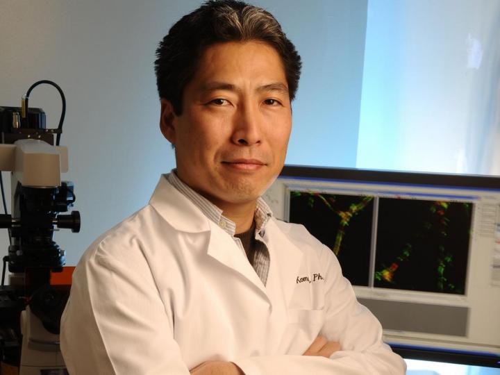 Masanobu Komatsu, Sanford-Burnham Prebys Medical Discovery Institute