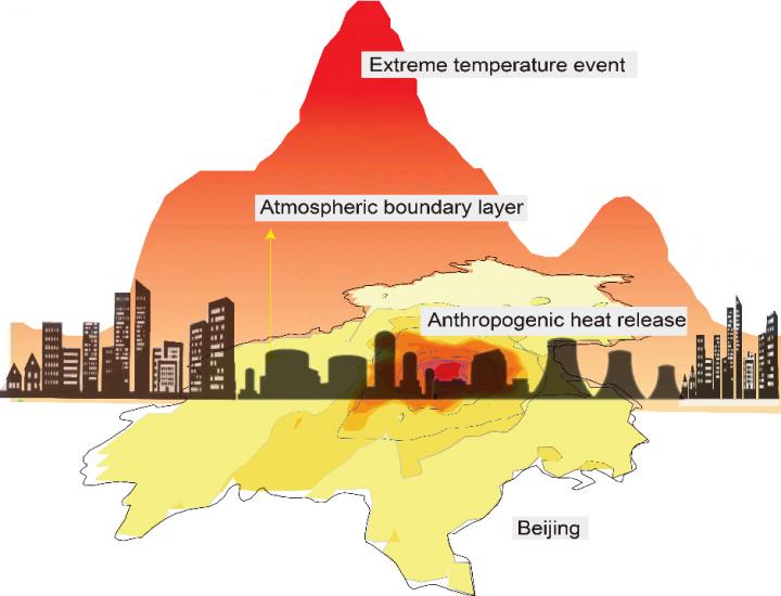 Anthropogenic Heat Flux