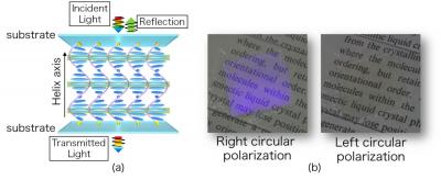 Standard Cholesteric Liquid Crystal Device (1 of 2)