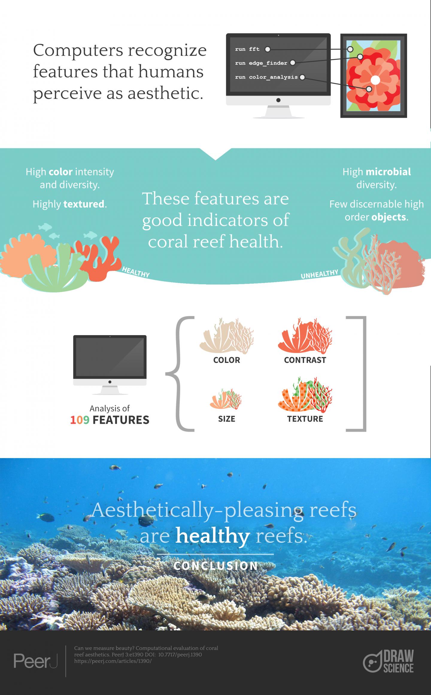 Infographic Of The Study