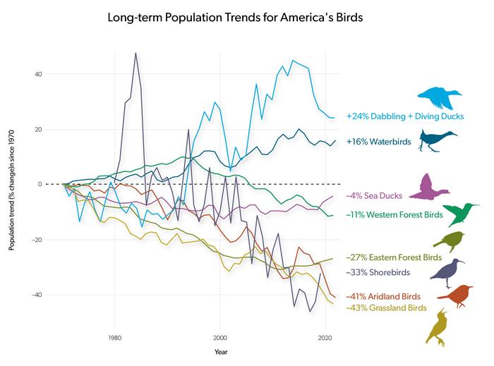 Long-term population trends for America's birds