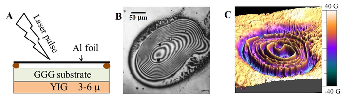 Spins ordered by a giant magnetic pulse