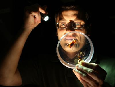 Buczkowski with Roaches