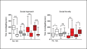 Early Life Treatment Prevents Autism Symptoms From Developing in Mice