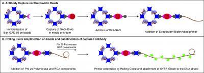 A Highly Sensitive Microsphere-Based Assay for Early Detection of Type I Diabetes
