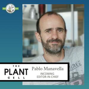 ASPB Announces Pablo Manavella as the Next Editor-in-Chief of The Plant Cell