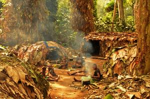 A Mbendjele camp in the Congo rainforest