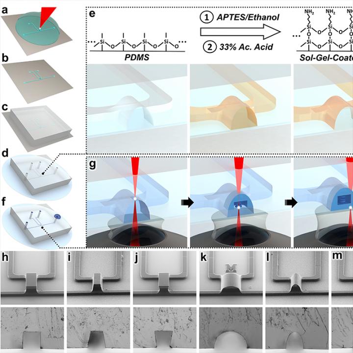 Sol-Gel-Based In-Situ Direct Laser Writing Concept