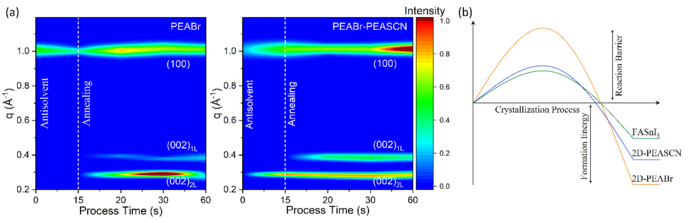 Fig.3 Tin perovskite film growth kinetics. (a) Quasi-in situ GIWAXS measurements of PEABr and PEABr–PEASCN films. (b) Schematic of the system free energy evolution in the crystallization of tin perovskites.