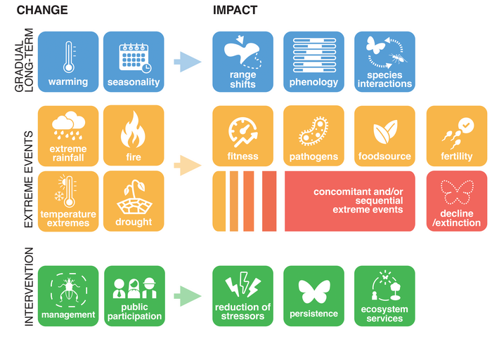 Climate change impacts on insects