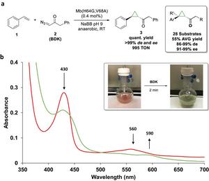 Mb reaction with benzyl diazoketone.