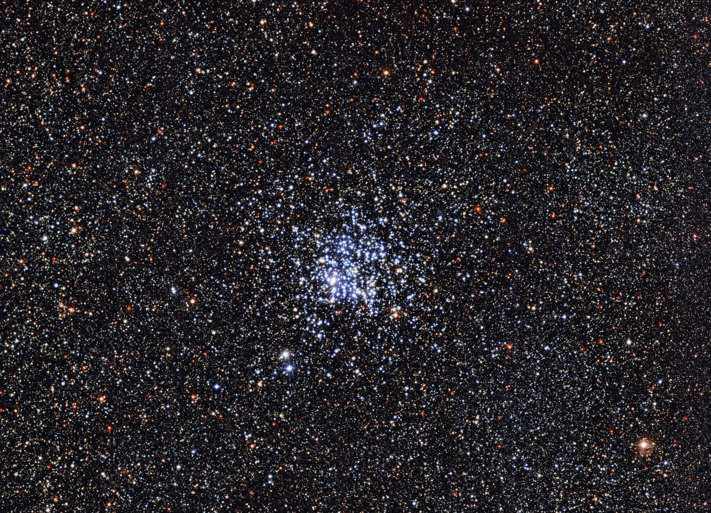 Wild Duck Cluster