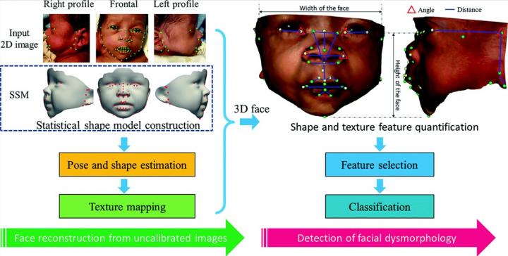 Figure 1 of the Study