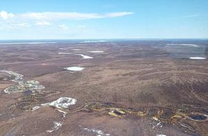 Upland tundra landscape