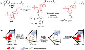 Interactions between the functional monomers (DS-FM1, PBA-FM2, and DS-FM3) and AMP via (a) sequential assembly and (b) the PIM process.