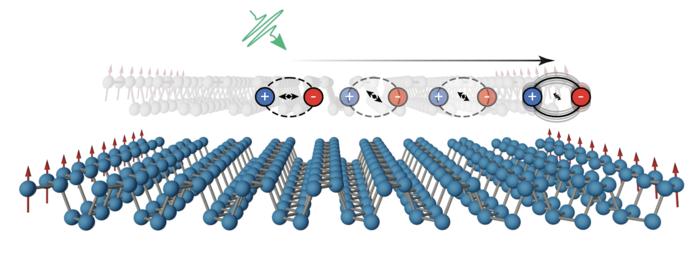 A schematic of the photoexcited dipole dynamics in phosphorene nanoribbons