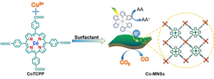 Figure 1  Synthetic illustration of the ultrathin MOF nanosheet-based cobalt single-atom catalyst for visible-light-driven photocatalytic CO2-to-CO conversion.