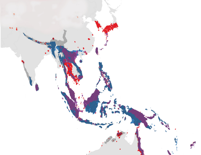 Areas harboring many small-ranged ant species in Asia