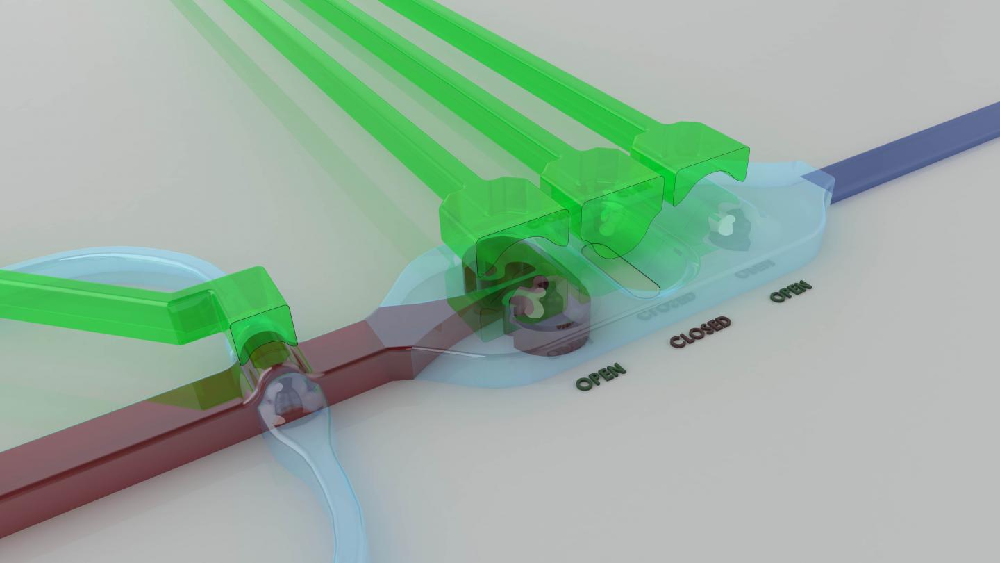 Microfluidic Chip - Graphic